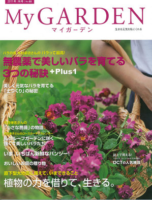 My Garden_No.60.jpg